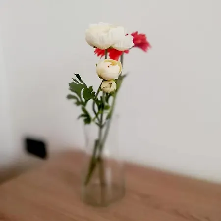 아파트 Sweet